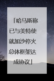 哈马斯称已与美特使就加沙停火总体框架达成协议